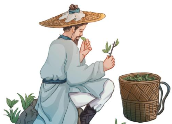 【健康科普】中医药文化知识宣传
